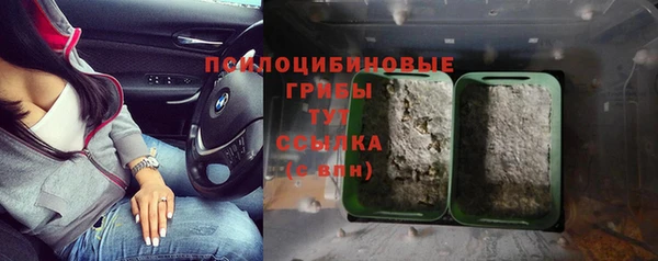 шишки Пролетарск